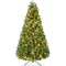 Best Choice Products Pre-Lit Scotch Pine Christmas Tree w/ 2-In-1 LED Lights
